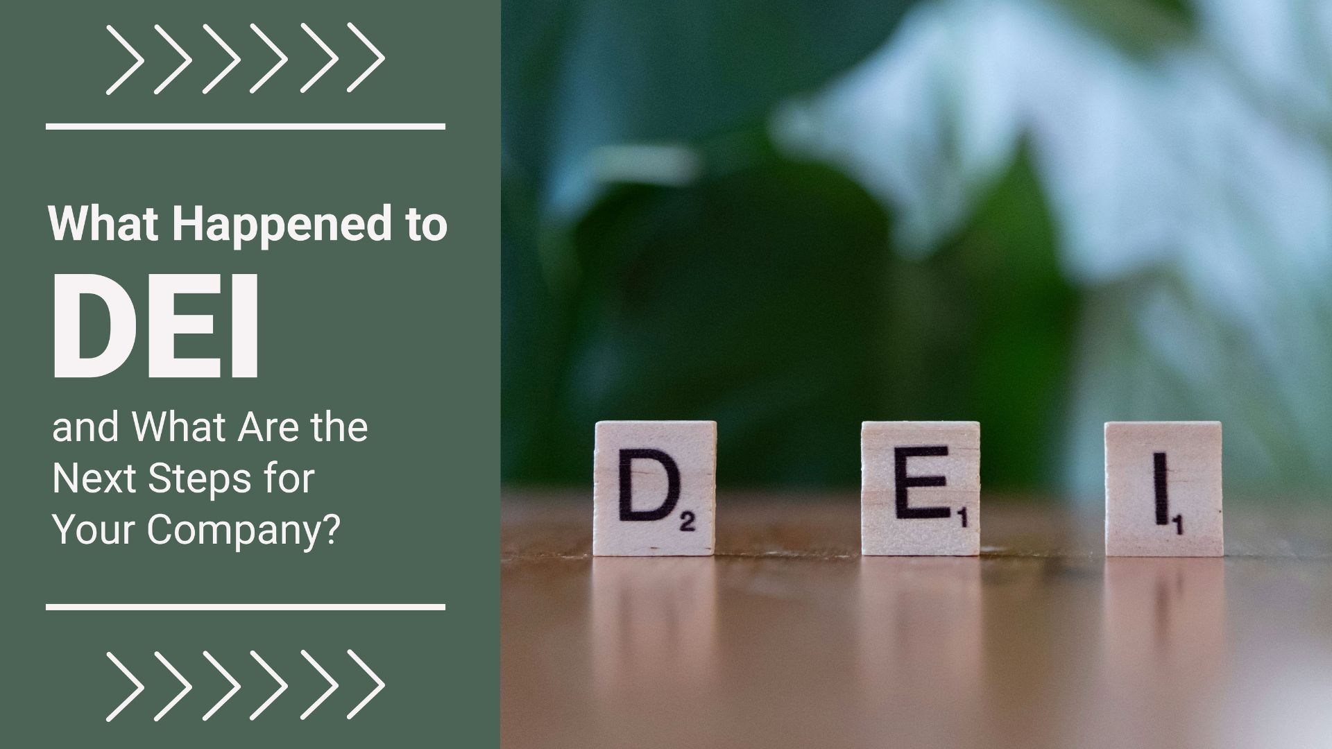 What Happened to DEI and What Are the Next Steps for Your Company?